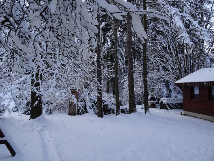 Okolie chaty v zime